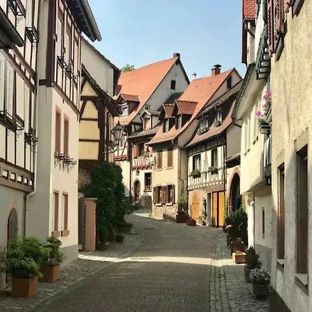 Buedinger Hof Apartment Weinheim Exterior photo