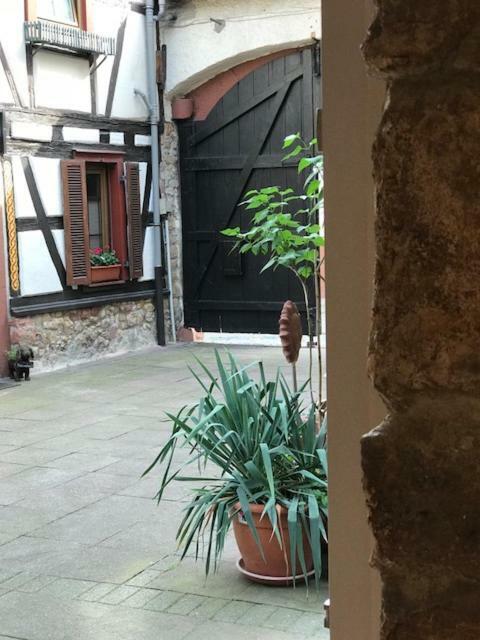 Buedinger Hof Apartment Weinheim